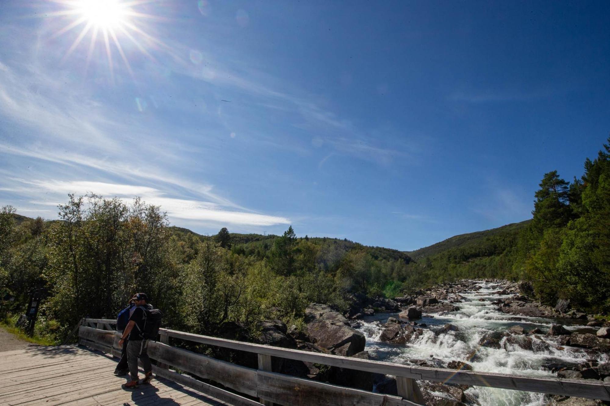 Spacious And Beautiful Apartment In Geilo, Mountain Retreat With View! Bagian luar foto