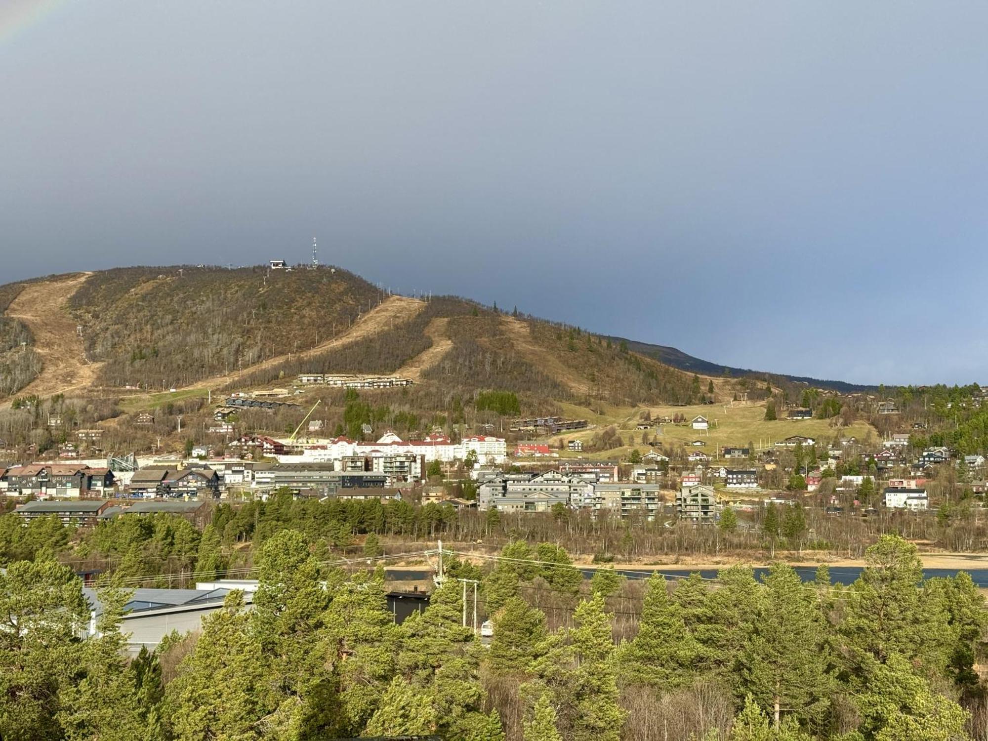 Spacious And Beautiful Apartment In Geilo, Mountain Retreat With View! Bagian luar foto