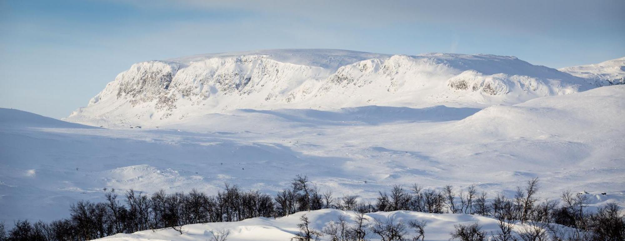 Spacious And Beautiful Apartment In Geilo, Mountain Retreat With View! Bagian luar foto